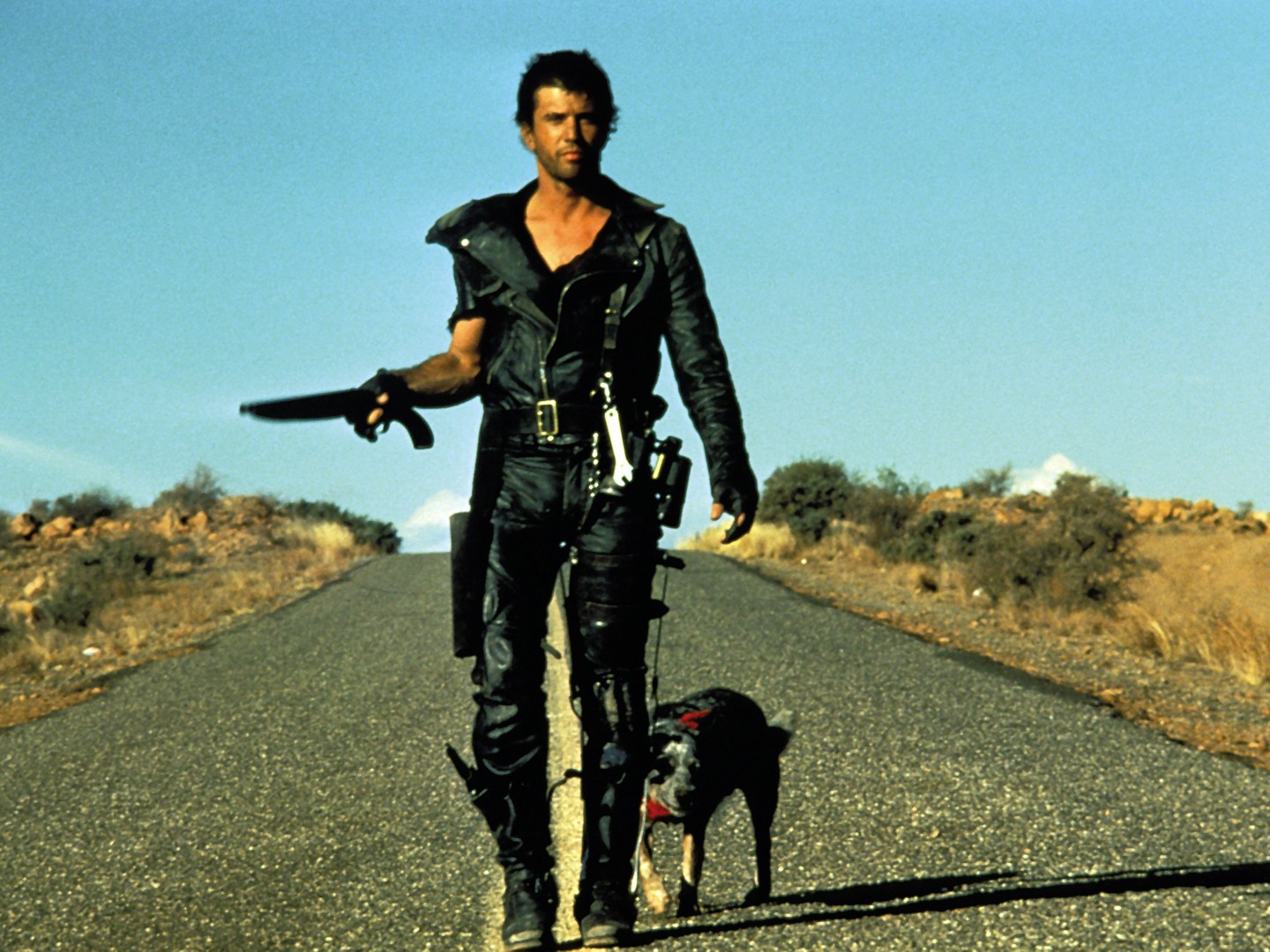 mad max 2 rotten tomatoes